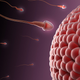 Illustration for article titled Your Sperm Are Ticking, Mutating Time Bombs